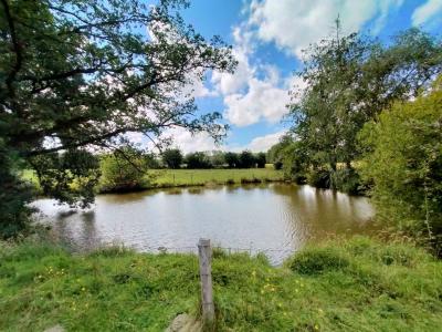 For sale 3 rooms 75 m2 Mayenne (53250) photo 2