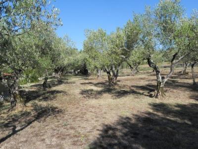 For sale EN BORDURE DU VILLAGE 10 rooms 200 m2 Gard (30500) photo 1