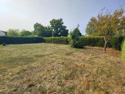 Annonce Vente 5 pices Maison Avrille 49