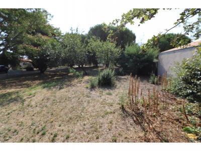 Annonce Vente Terrain Saint-georges-d'oleron 17