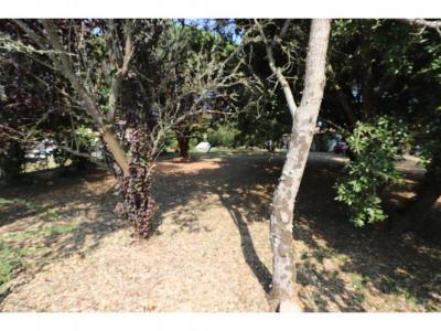 Acheter Terrain 815 m2 Saint-georges-d'oleron