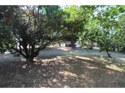 Acheter Terrain Saint-georges-d'oleron 239400 euros