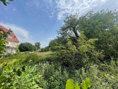 Annonce Vente Terrain Chateau-renard 45
