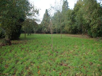 Acheter Terrain 1000 m2 Caro