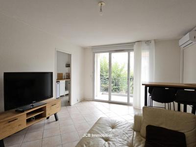 Annonce Location 3 pices Appartement Toulouse 31