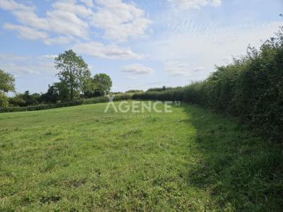 Acheter Terrain Acquin-westbecourt 54500 euros