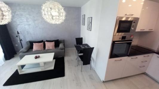 Louer Appartement 45 m2 Issy-les-moulineaux