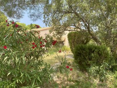 Annonce Vente 4 pices Maison Espira-de-l'agly 66