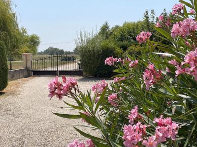 Annonce Vente 7 pices Maison Labastide-du-temple 82