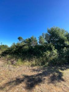 For sale Possession 1366 m2 Reunion (97419) photo 0