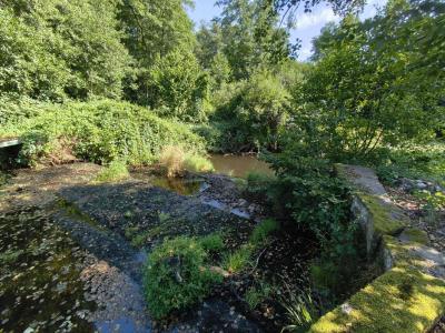 Acheter Prestige Corbenay Haute saone