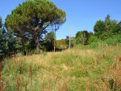For sale Mercuer 1000 m2 Ardeche (07200) photo 0
