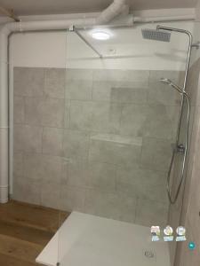Louer Appartement Chatel-sur-moselle 500 euros