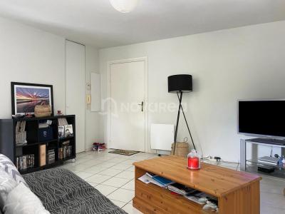 Annonce Vente 2 pices Appartement Pau 64