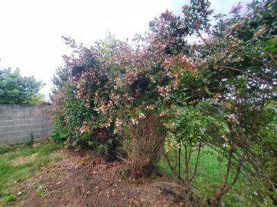 For sale Machecoul 2 rooms 53 m2 Loire atlantique (44270) photo 1