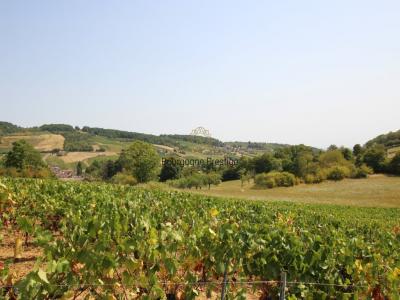 Acheter Prestige 292 m2 Givry