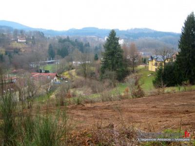 Annonce Vente Terrain Saint-die 88