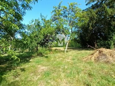Annonce Vente 5 pices Maison Torcenay 52