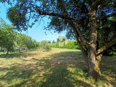 Acheter Maison 140 m2 Torcenay