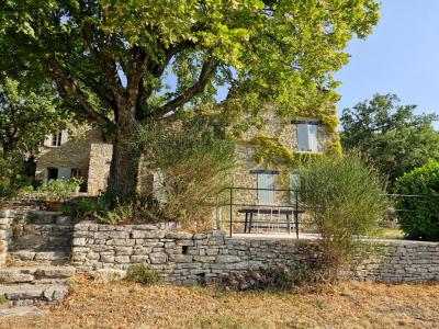 Annonce Vente Prestige Saint-martin-de-castillon 84