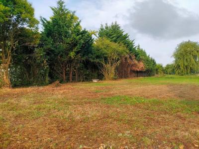 Acheter Terrain Saint-loubes Gironde