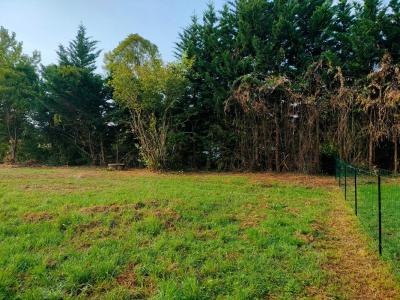 Acheter Terrain Saint-loubes 158000 euros