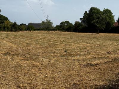 For sale Varennes-vauzelles 7339 m2 Nievre (58640) photo 1