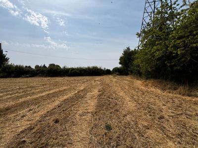 For sale Varennes-vauzelles 7339 m2 Nievre (58640) photo 2