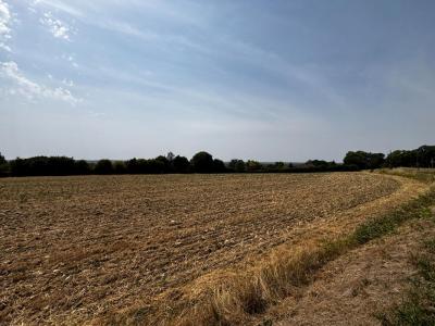 For sale Varennes-vauzelles 7339 m2 Nievre (58640) photo 3