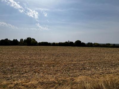 For sale Varennes-vauzelles 7339 m2 Nievre (58640) photo 4
