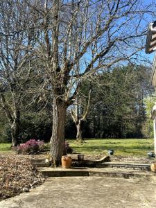 For sale Parigny-les-vaux 7 rooms 110 m2 Nievre (58320) photo 2