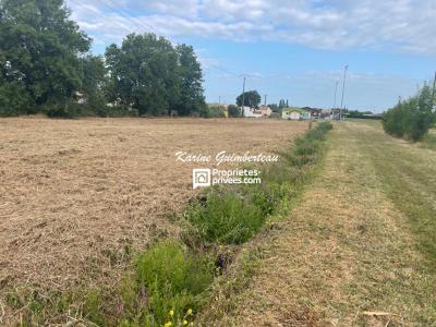 Annonce Vente Terrain Galgon 33