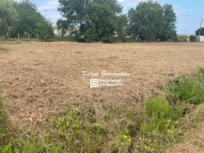 Acheter Terrain 1900 m2 Galgon