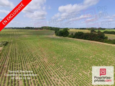 For sale Breille-les-pins NOYANT-VILLAGES 32767 m2 Maine et loire (49390) photo 0