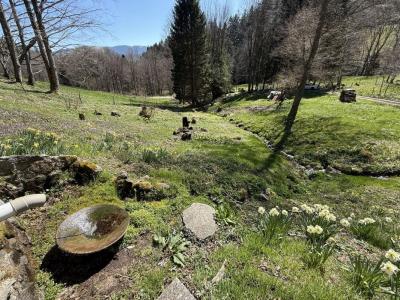 Annonce Vente 3 pices Maison Muhlbach-sur-munster 68
