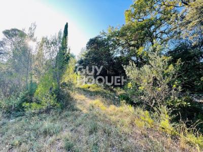 For sale Vailhauques 3477 m2 Herault (34570) photo 0