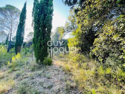 For sale Vailhauques 3477 m2 Herault (34570) photo 1