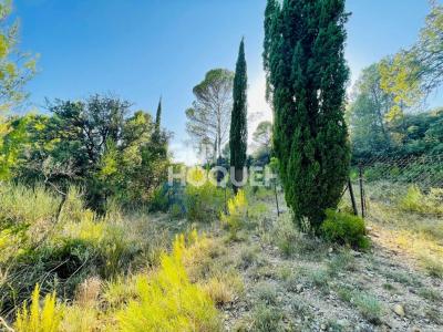 For sale Vailhauques 3477 m2 Herault (34570) photo 2