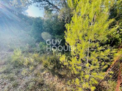 For sale Vailhauques 3477 m2 Herault (34570) photo 3