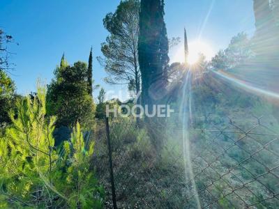For sale Vailhauques 3477 m2 Herault (34570) photo 4