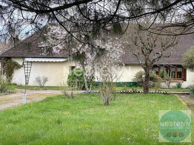 Annonce Vente 5 pices Maison Cheverny 41