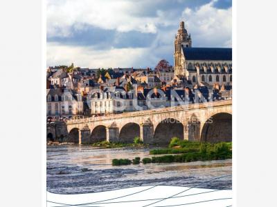 Acheter Appartement Blois 577600 euros