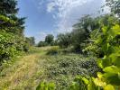 For sale Land Chateau-renard 1638 m2