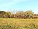 For sale Land Saint-martin-d'ary  1077 m2