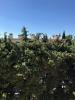 For sale Apartment Nimes LE STELLA 66 m2 4 pieces