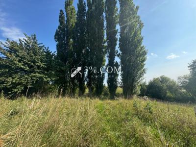For sale Truchtersheim 700 m2 Bas rhin (67370) photo 4