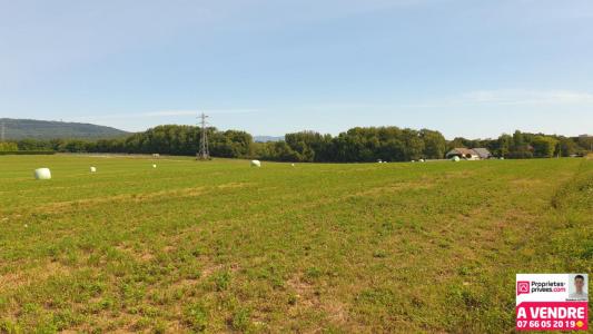 Annonce Vente Terrain Bavilliers 90