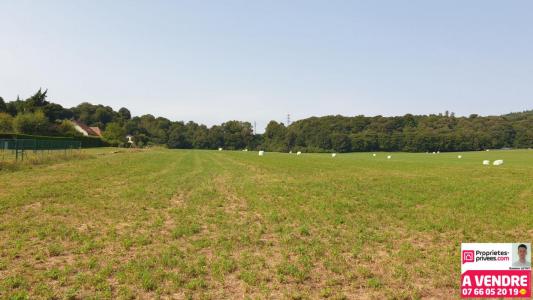 Annonce Vente Terrain Essert 90