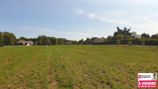 Acheter Terrain 422 m2 Essert