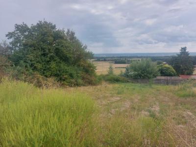 Acheter Terrain 1041 m2 Pisieu